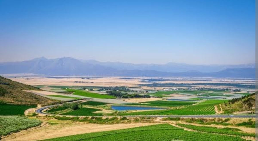 0 Bedroom Property for Sale in Darling Western Cape